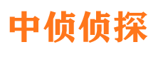 石峰侦探